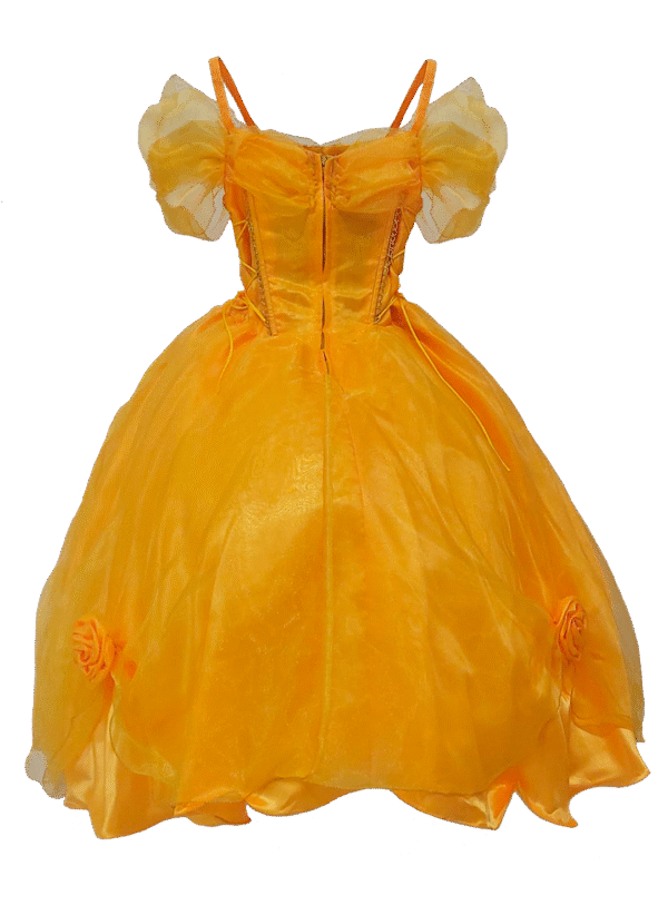 Mod-398 - Image 2